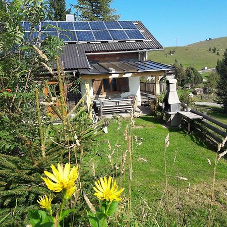 Sommeralmhuette Sankt Kathrein am Offenegg Buitenkant foto