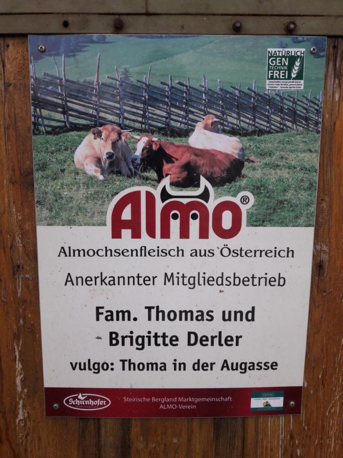 Sommeralmhuette Sankt Kathrein am Offenegg Buitenkant foto