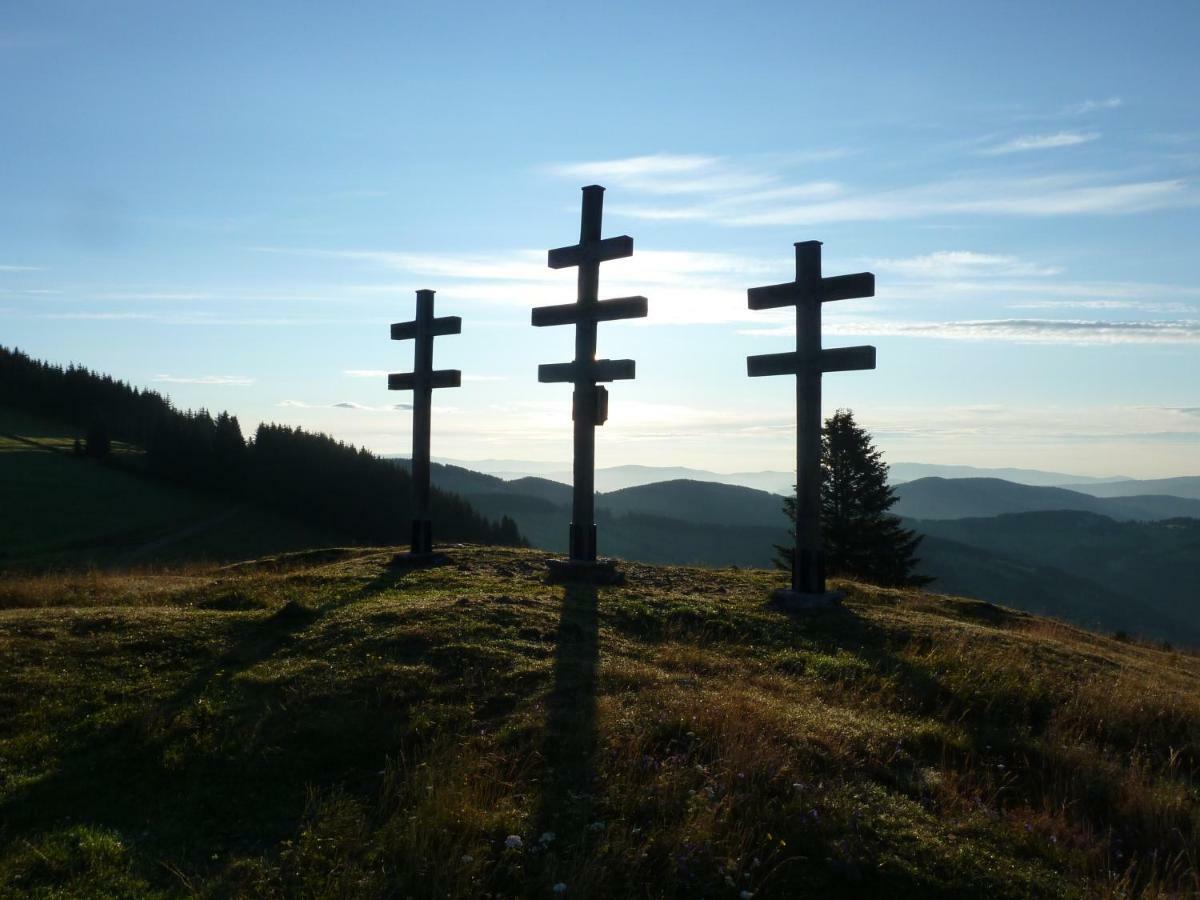 Sommeralmhuette Sankt Kathrein am Offenegg Buitenkant foto