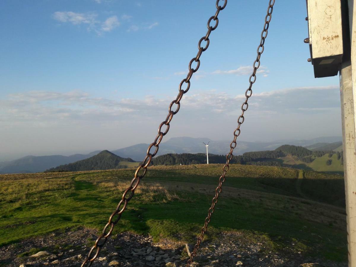 Sommeralmhuette Sankt Kathrein am Offenegg Buitenkant foto
